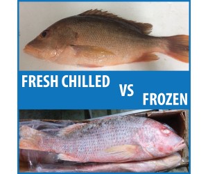 Differences Between Fresh and Frozen Fish in Malaysia