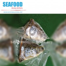 Salmon Fish Head 三文鱼头 ± 700g