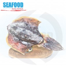 Dried octopus  目鱼 (Size 150g - 180g per pc)
